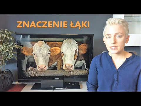 Wideo: Znaczenie Inscenizacji Dla Zwierząt Z Rakiem, Część 1 - Co To Jest Inscenizacja Raka Dla Zwierząt Domowych?