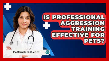 Is Professional Aggression Training Effective For Pets? - PetGuide360.com