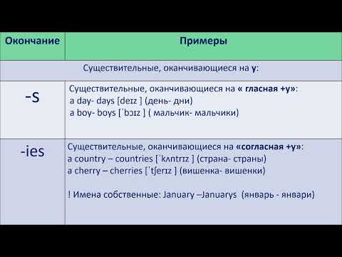 Множественное число существительных 1 часть