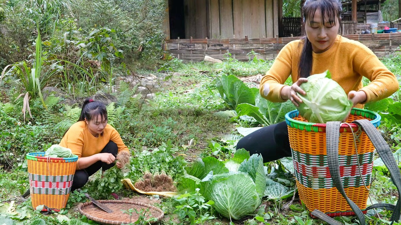 Harvesting Fresh Homegrown Produce and Bringing It to Market for a Successful Selling Day