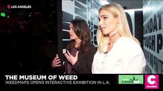 Hollywood's Weed Museum Highlights the Plant's Complex History