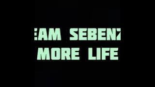 Team sebenza more life