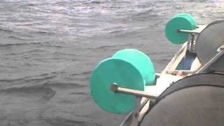 Birds diving for my fish! in Cheticamp