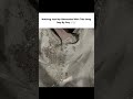 This song 🎶🤌🏻 | Aesthetic | #song #aesthetic #love #youtubeshorts