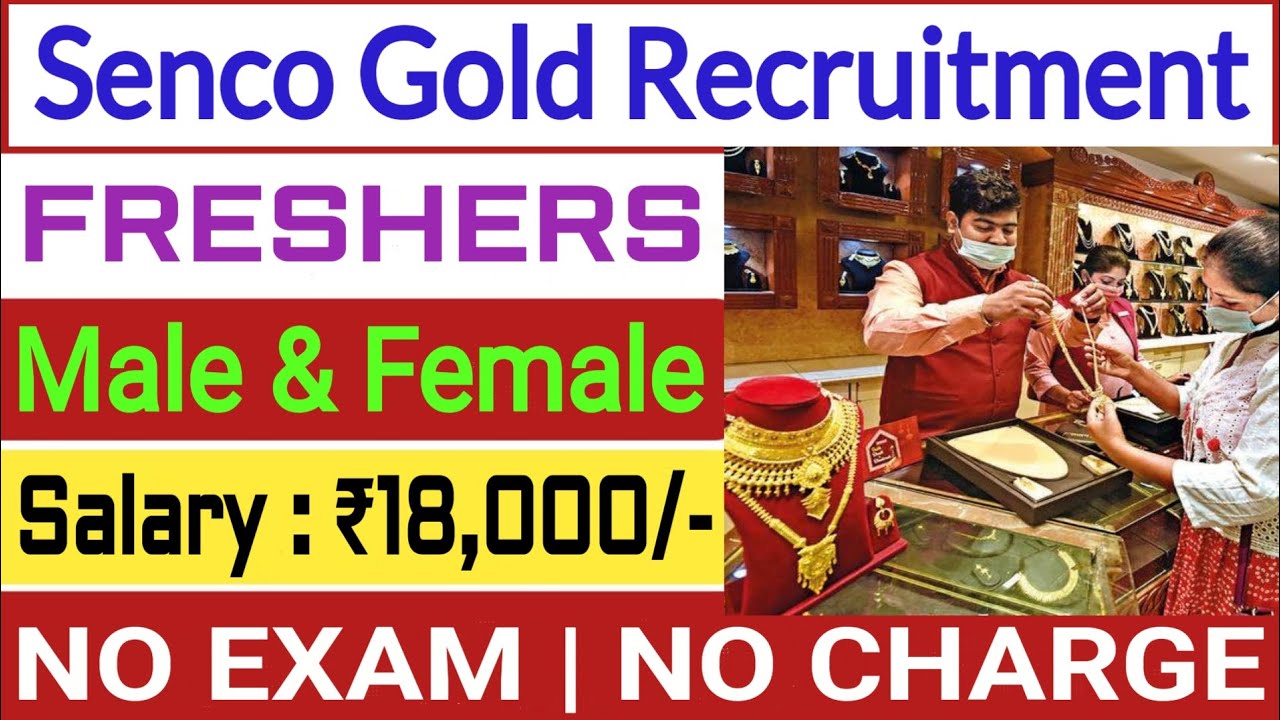 SENCO GOLD & DIAMOND JEWELLERY SHOWROOM JOB FRESHER CANDIDATES