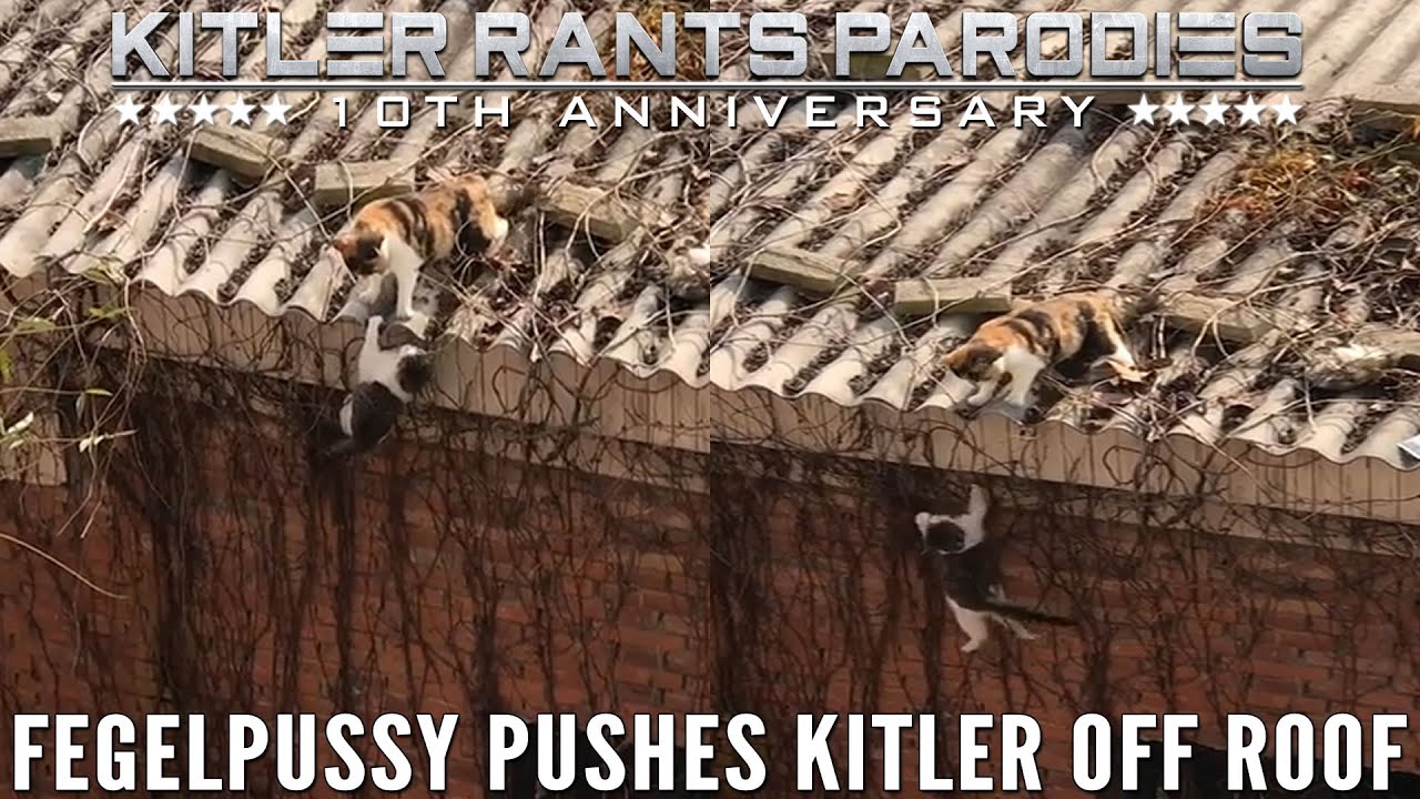 Fegelpussy pushes Kitler off roof