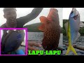 Catching Lapu-lapu , at dalagang bukid, using handline fishing.