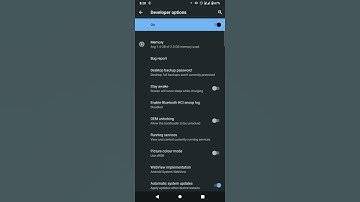 HOW TO CHECK & KNOW RAM USAGE ON NOKIA 1.4 THROUGH THE DEVELOPER OPTIONS...