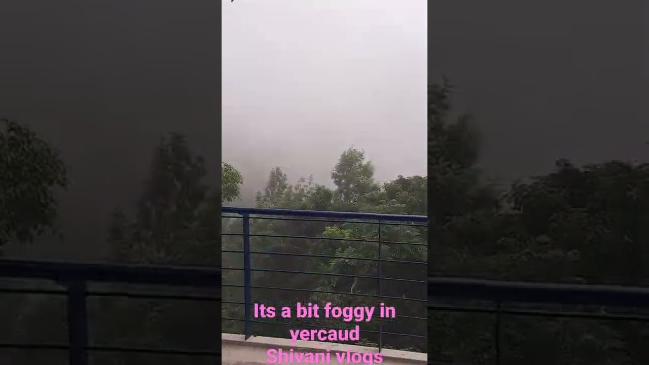Amazing View In Yercaud T N