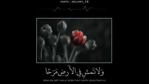 تلاوة خاشعة بصوت ماهر المعيقلي ❤️