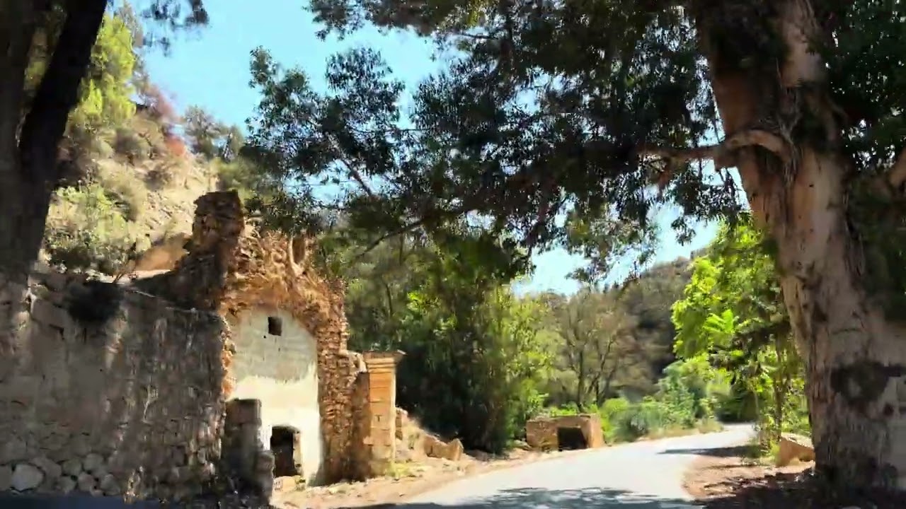 La forêt de la vierge mesregine Oran غابة العذراء مسرغين وهران الجزائر