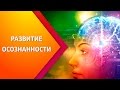 Мульт-урок - Развитие осознанности