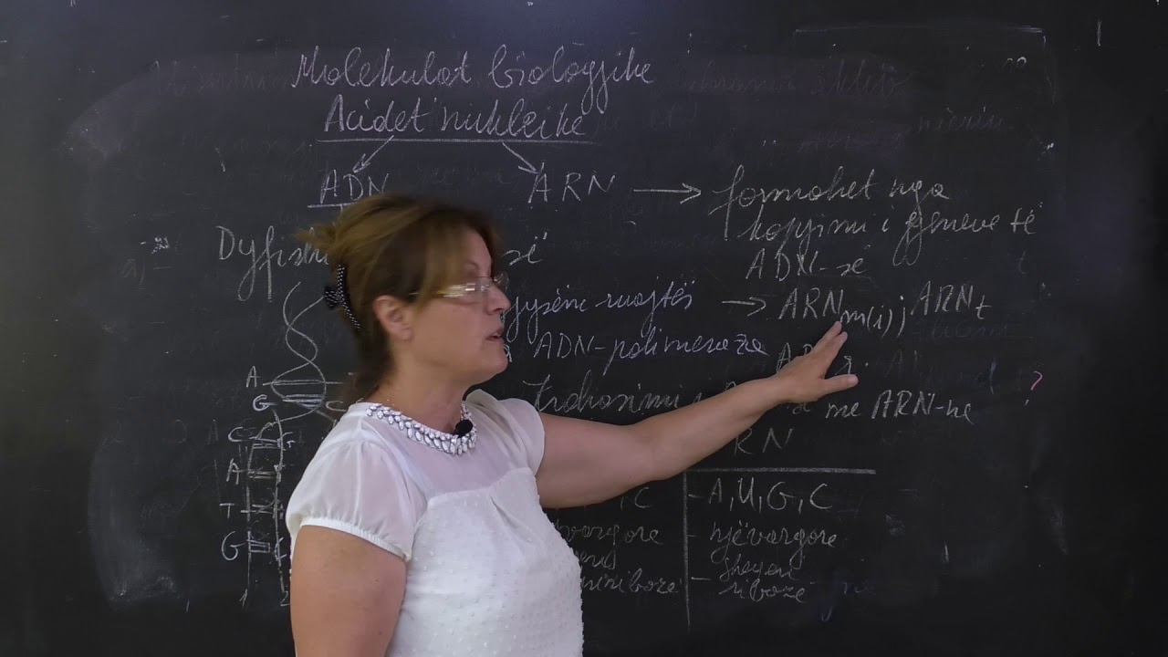 Biologji   Molekulat biologjike  Acide Nukleike ADN