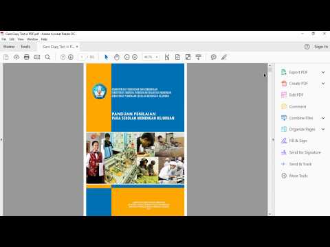 Video: Când copierea textului dintr-un pdf este o farsă?