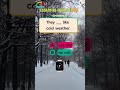 Essential English Quiz Grammar EP206 They Like Cold Weather Are Not Vs Do Not 