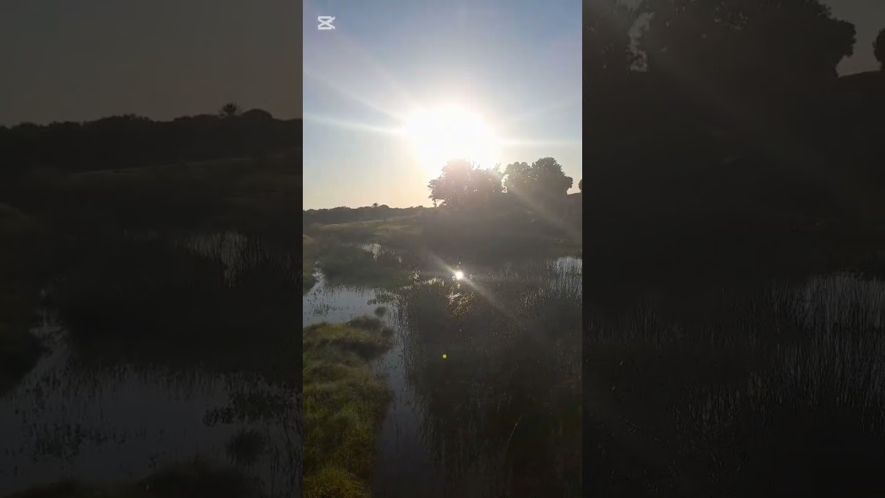 Sundari morfosis de un llanto