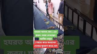 হযরত আদম আঃ এর কবর মোবারক