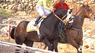 🔥Jaguar 🐆 C. Rodeo Vs. Xochitl C. El Vivoro🔥 . Carril San Isidro, JAL.