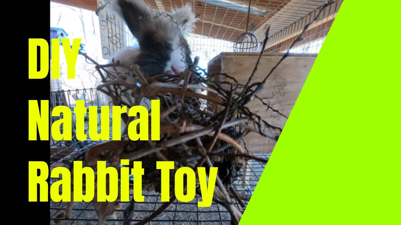DIY natural rabbit chew toy video