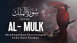 Ngaji Merdu Surah AL MULK | MUROTTAL AL QUR'AN PALING INDAH | PENENANG HATI DAN PIKIRAN  | MUROTAL