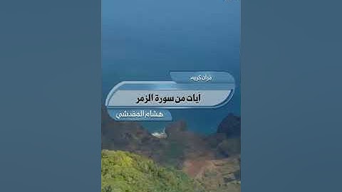آيات من سورة #الزمر _هشام المقدشي