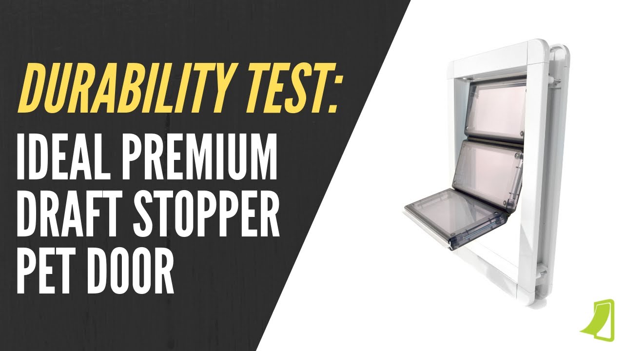 Durability Test & Review Ideal Premium Draft Stopper Pet Door YouTube