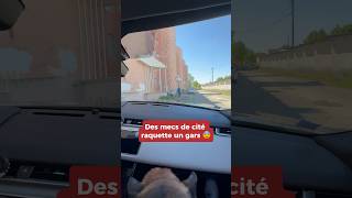 Il se fait racketter par des mecs de cité 😨😱 #chien #nino #chat #dog #malinois #embrouille