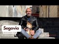 Segovia con perro 4K | IKER
