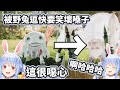 【劍魂6 Cosplay大會】被野兔逗到快到笑壞喉嚨的Pekora【兎田ぺこら/兔田佩克拉】【Hololive中文精華】