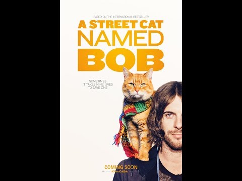 Уличный кот по имени боб аудиокнига