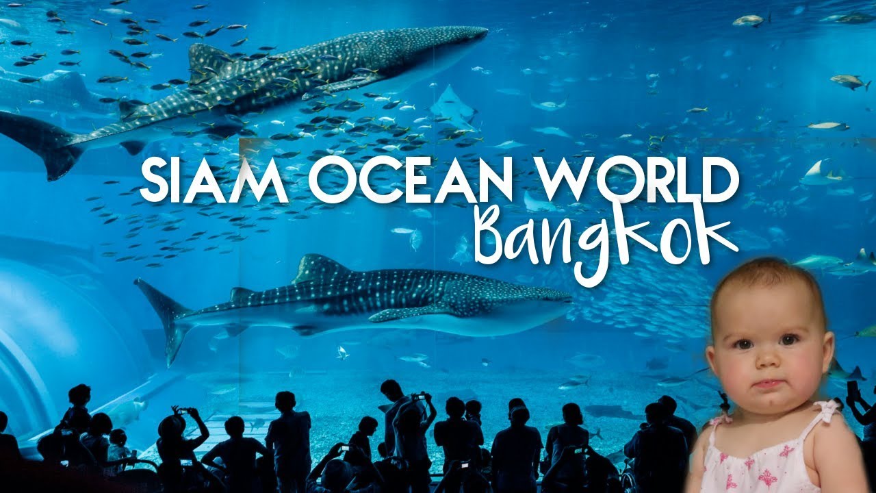 Bangkok Aquarium Ocean World Siam Paragon Thailand