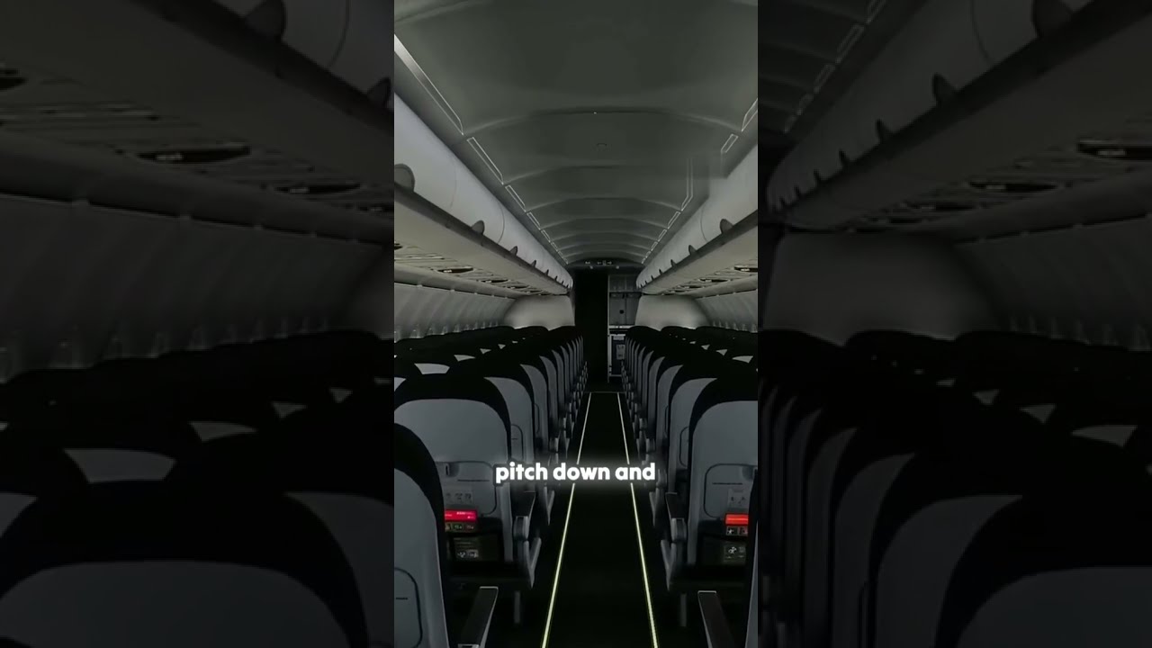 The Captain S Quick Decision In Crisis Planecrash Automobile Aviation Aircraftpilot Emergency