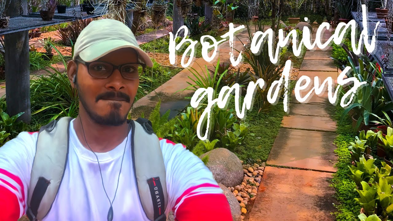 Auroville Botanical Gardens | Vlog #8 | Auroville