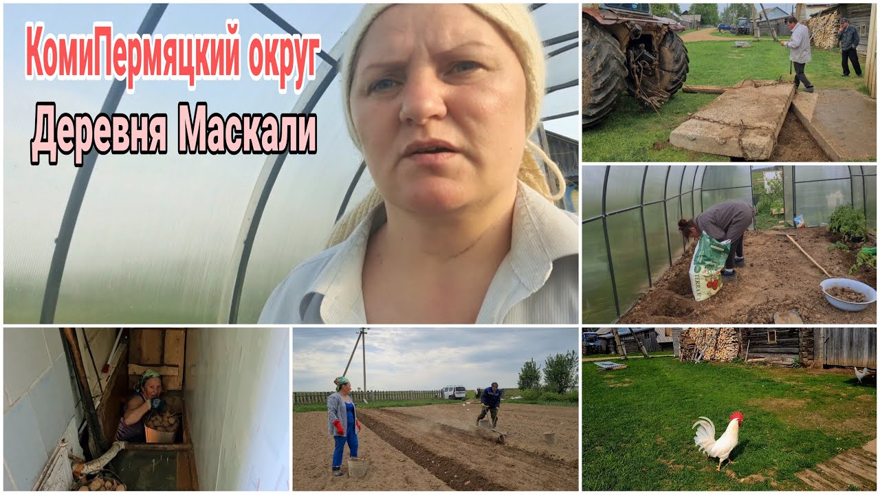 В Гостях у родителей. Садим картошку. Жизнь в деревне. Коми-Пермяцкий ...