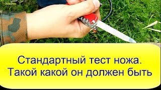 Стандартный тест ножа. Такой какой он должен быть! Victorinox Ranger  1.3763.71