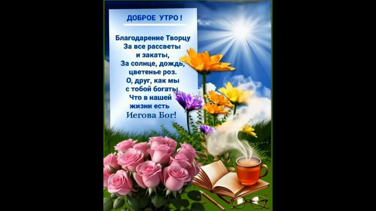 12 августа 2025 г.