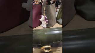 THE LONG AWAITED AUTUMN /WINTER 🍂 ❄️ COACH HANDBAGS COLLECTION 👜 ❤️ #shortvideo #shorts #coach