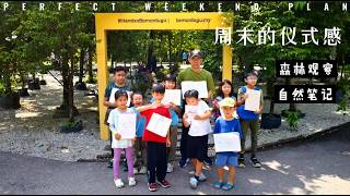 Khai’s Nature Journaling Class | Learning to Observe the Forest at Taman Tugu🌿📒