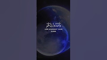 القرآن الكريم  /تلاوة خاشعة #اكسبلور #لايك #القرآن_الكريم #راحة_نفسية
