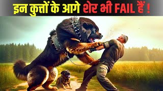 दुनिया के सबसे बड़े कुत्ते | Top 10 Largest and Powerful Dogs Breeds in the World |