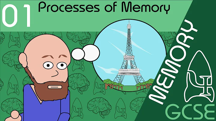 Processes of memory - Memory, GCSE Psychology [AQA] - DayDayNews