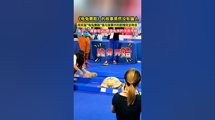 《龜兔賽跑》的故事果然沒有騙人，現實版"龜兔賽跑"竟與故事中的劇情完全吻合，兔子："遵循祖訓"是我兔族的優良傳統！#shorts