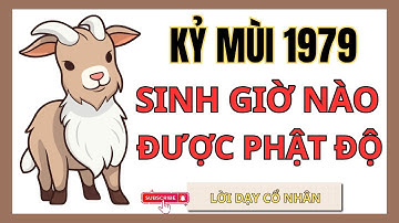 KỶ MÙI 1979 | 3 Ngày, 4 Giờ, 5 Tháng Sinh Này Được Phật Độ Giúp Đổi Đời VÀNG BẠC | Lời Dạy Cổ Nhân