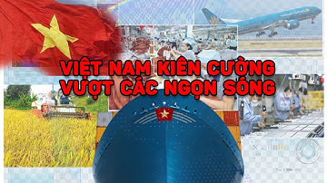 CÁI CÁCH VIỆT NAM VƯỢT QUA KHÓ KHĂN CỦA NĂM 2022