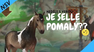 Neděle s Verou - Je Selle Francais pomalý??