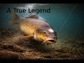 WhiteNose a true story
