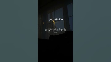 تلاوة مؤثرة #اكسبلور #islamicvideo #راحة_نفسية #المصحف #ياسر_الدوسري #لايك #قران #قران_كريم #قرآن