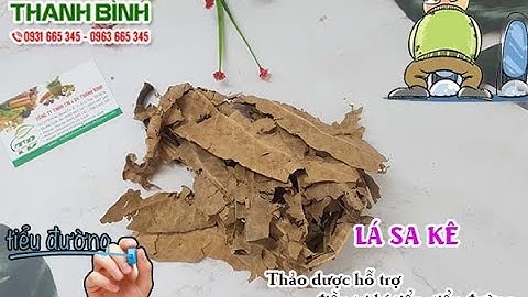 Lá Sa Kê | Công dụng của lá sa kê