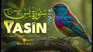 Download Lagu Relax Your Heart \u0026 Sleep Peacefully | Ultimate RELAXING Quran to Ease Your Soul | Zikrullah TV MP3