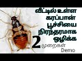 வீட்டில் உள்ள கரப்பான் பூச்சிகளை நிரந்தரமாக ஒழிக்க 2 வழிகள்